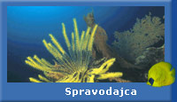 Spravodajca